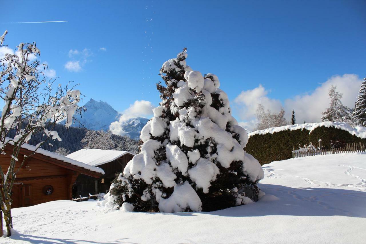 Chalet Le Slalom Arveyes Eksteriør billede