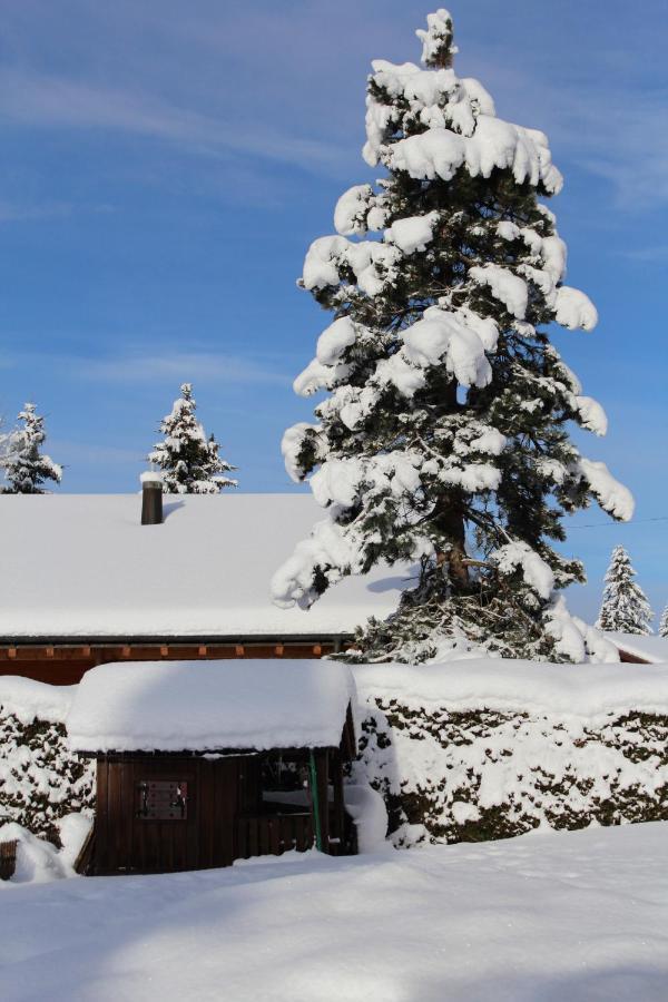 Chalet Le Slalom Arveyes Eksteriør billede